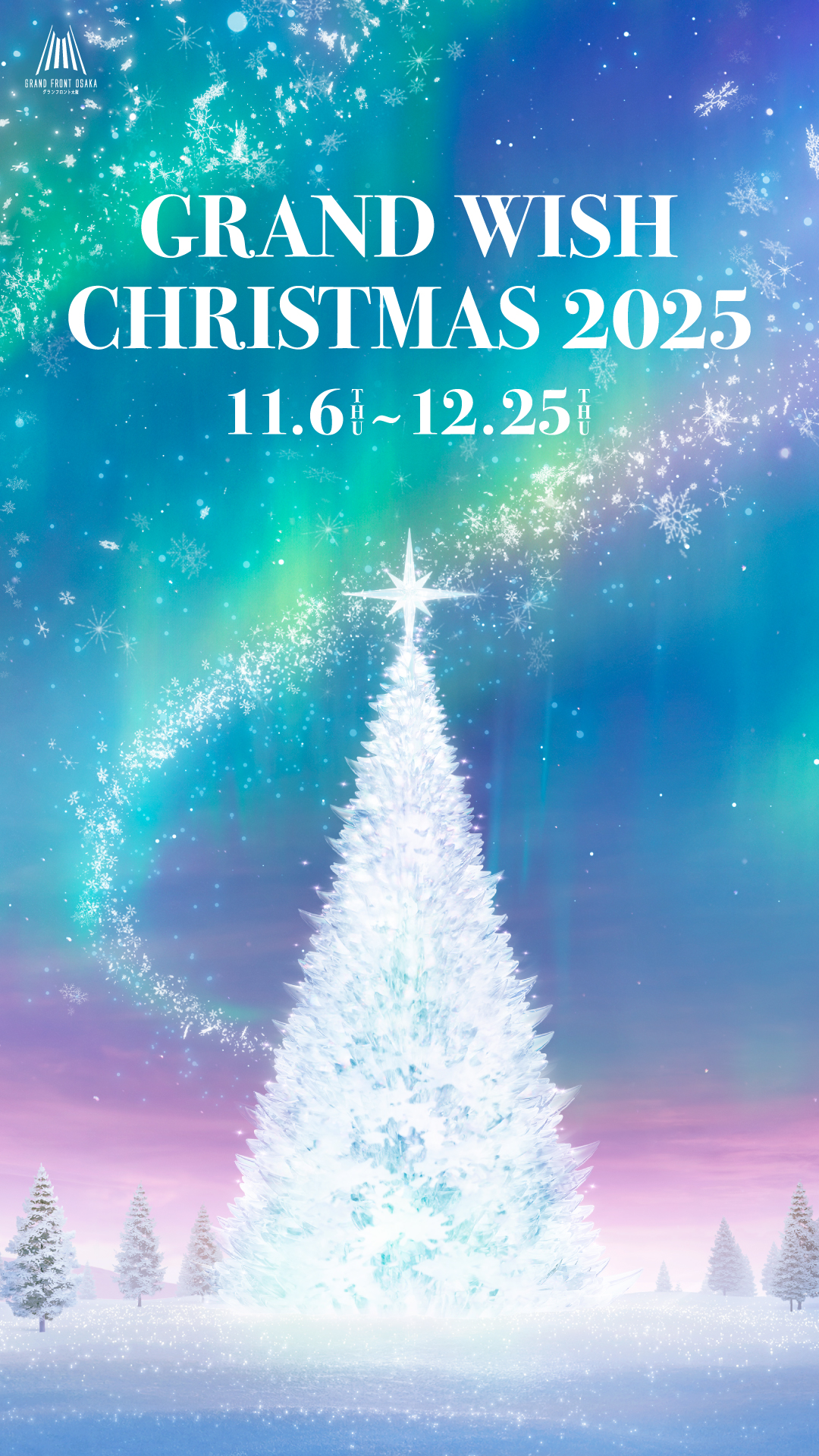 GRAND WISH CHRISTMAS 2024 Infinity Lights 11.7-12.25
